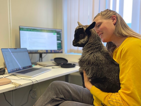 Bedriftens profilbilde