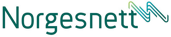 Norgesnett AS logo