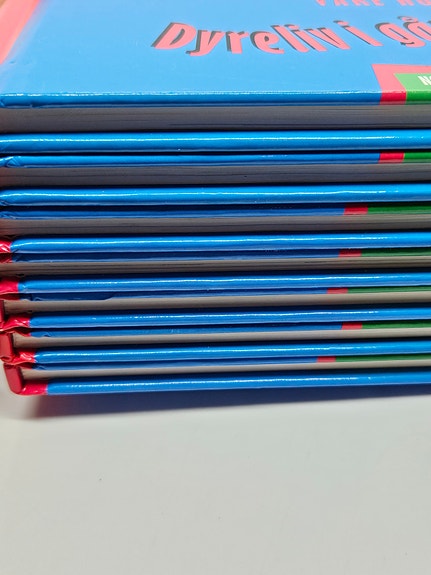 Product image 8 of 10