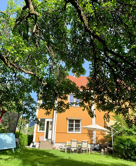 5-roms, med hage: Bo skjermet og sentralt ved Voldsløkka i Oslo