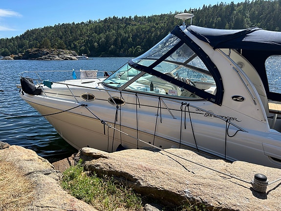 Sea Ray 335 11 of 30