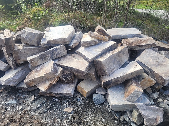 Product image 1 of 10