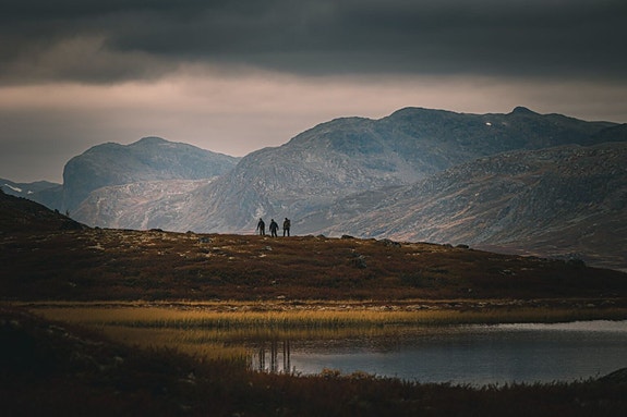 Bilde 2 av 8 i jobbannonse-galleriet