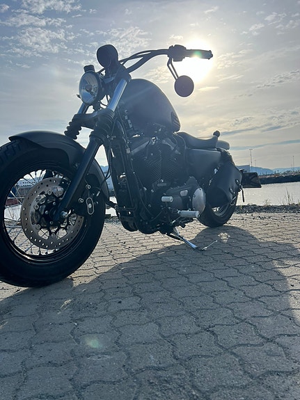 Harley-Davidson sportster 883 Iron/Bobber 5 of 5