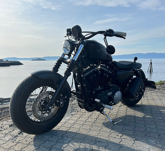 Harley-Davidson sportster 883 Iron/Bobber 2 of 5
