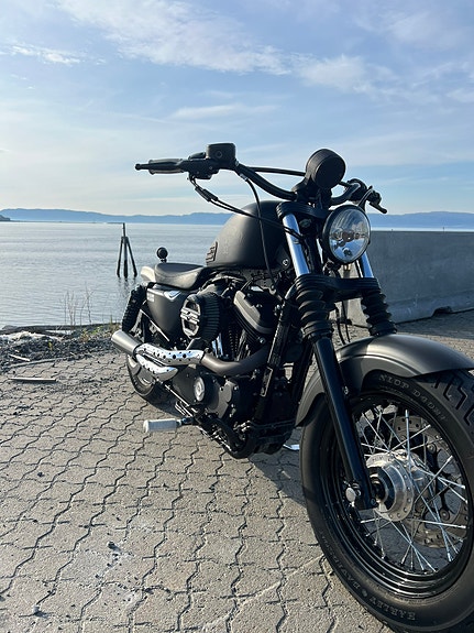 Harley-Davidson sportster 883 Iron/Bobber 4 of 5