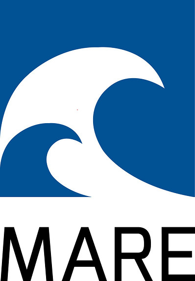 Mare Safety AS logo