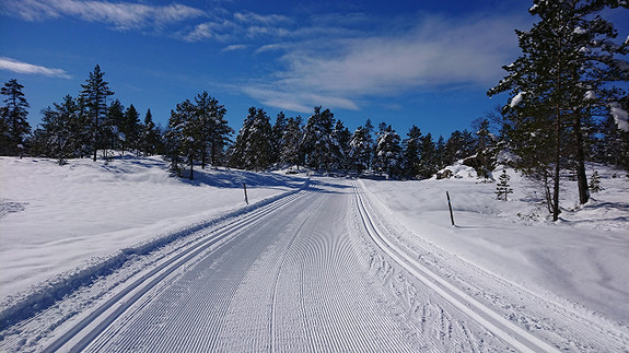 Skiløyper på Høgås