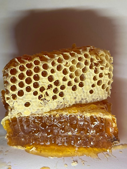 Product image 1 of 10