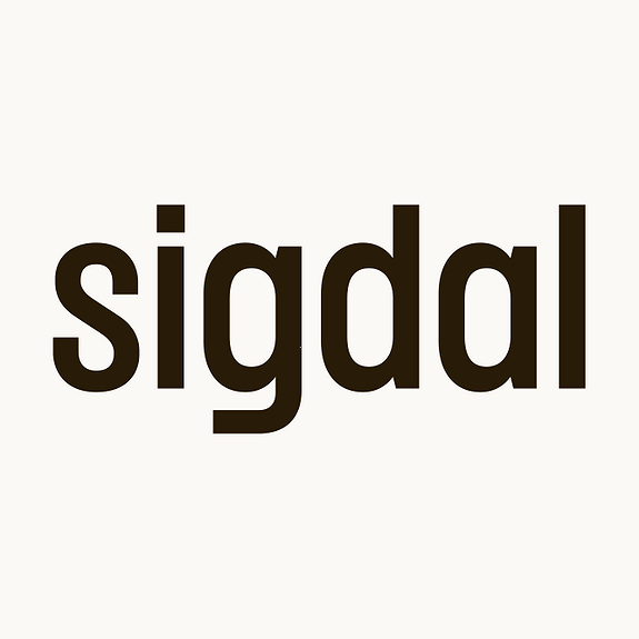 Studio Sigdal Skøyen logo