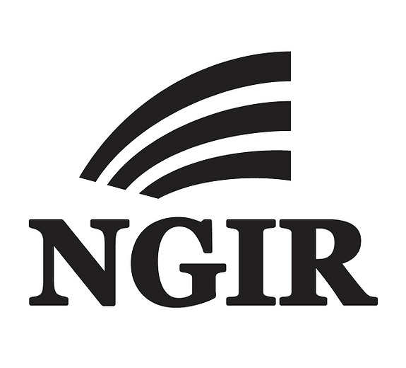 NGIR Næring AS logo