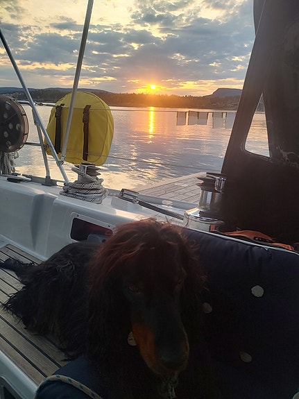 Båt leie med skipper, time, dag, uke 10 of 30