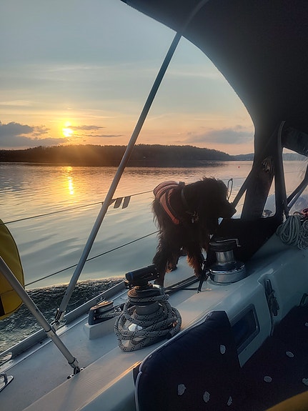 Båt leie med skipper, time, dag, uke 6 of 30