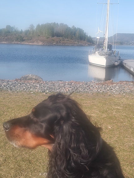 Båt leie med skipper, time, dag, uke 9 of 30