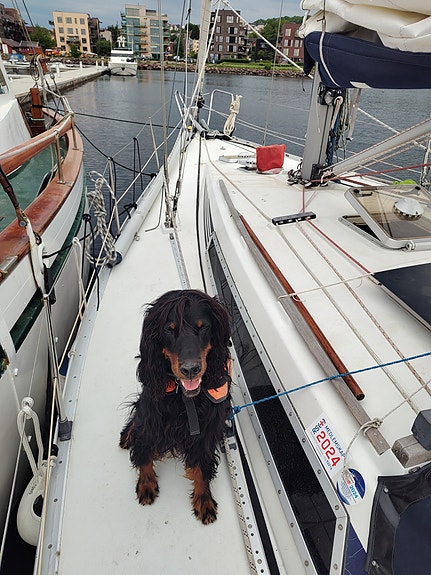 Båt leie med skipper, time, dag, uke 3 of 30