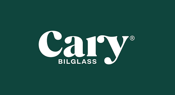 Cary Bilglass logo