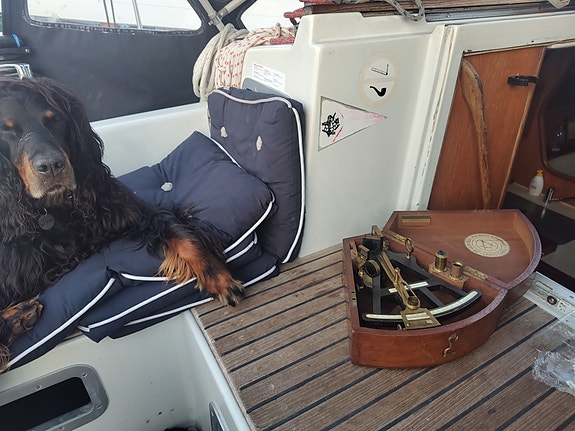 Båt leie med skipper, time, dag, uke 27 of 30