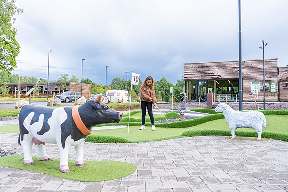 Bilde 2 av 4 i jobbannonse-galleriet