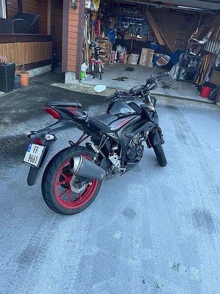 Suzuki 2 of 2