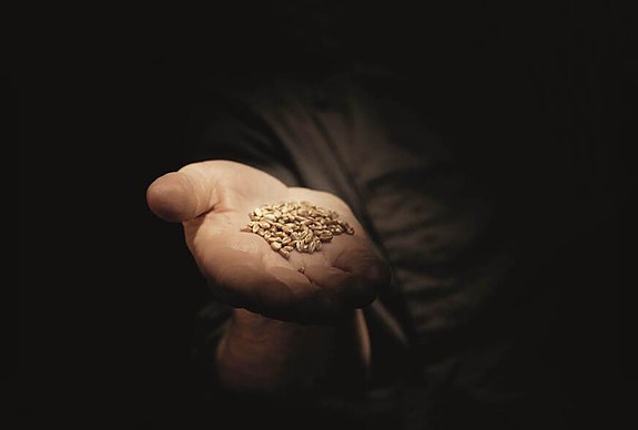 Bilde 3 av 7 i jobbannonse-galleriet