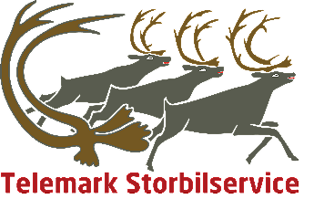 TELEMARK STORBILSERVICE AS logo