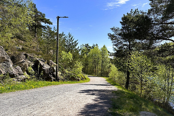 Flotte turområder med lysløype