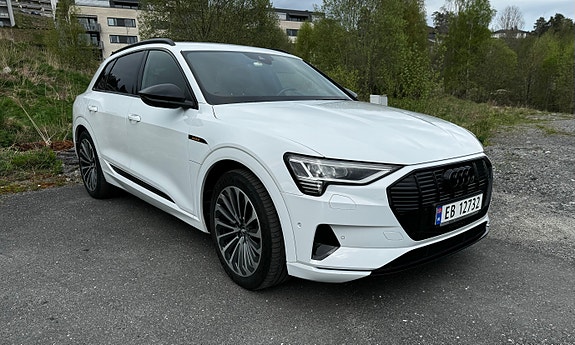 Audi e-tron 16 of 16