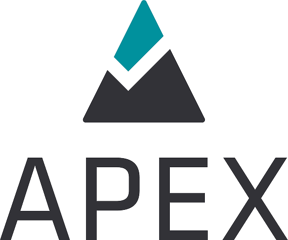 APEX IT AS logo
