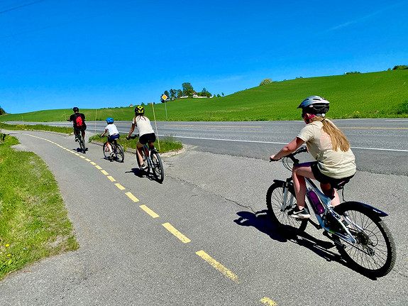 En fin sykkeltur tar deg til Hamar sentrum.