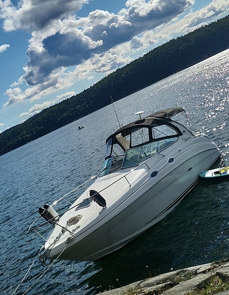 Sea Ray Sundancer 315 3 of 5