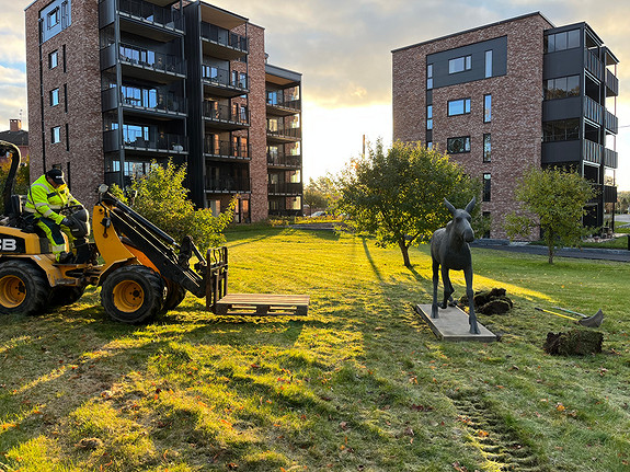 Bilde 5 av 30 i jobbannonse-galleriet