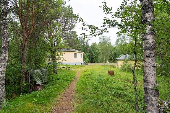 Tilfartsvei - Midt i naturen -