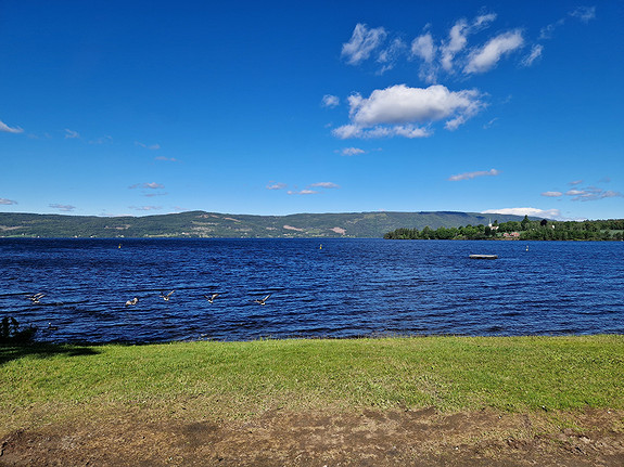 Gangavstand fra boligen til idylliske Ulnestangen