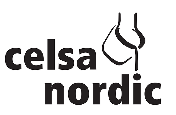 Celsa Armeringsstål AS logo