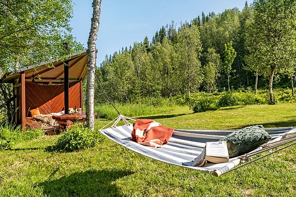 Velkommen til Skogan 24.