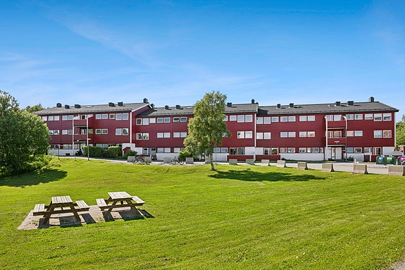 Velkommen til Mørkvedtråkket 21 - 2-roms leilighet rett ved universitetet