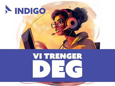 Indigo IKT logo