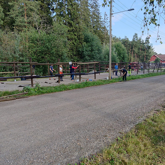 Organisert dugnad luftegårder