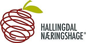 Hallingdal Næringshage as logo