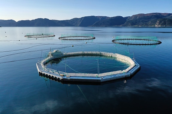 Bilde 1 av 1 i jobbannonse-galleriet