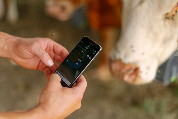 Bilde 1 av 1 i jobbannonse-galleriet