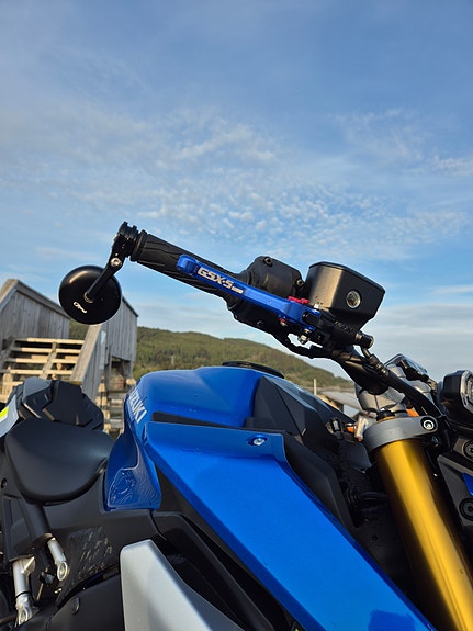 Suzuki GSX-S 1000 12 of 17