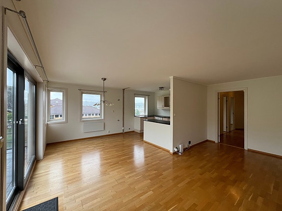 Stor stue med åpen kjøkkenløsning.