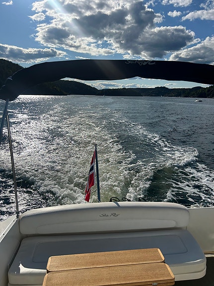 Sea Ray 335 24 of 30