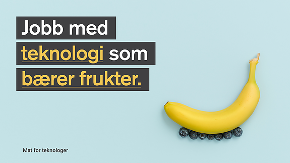 Bilde 4 av 4 i jobbannonse-galleriet