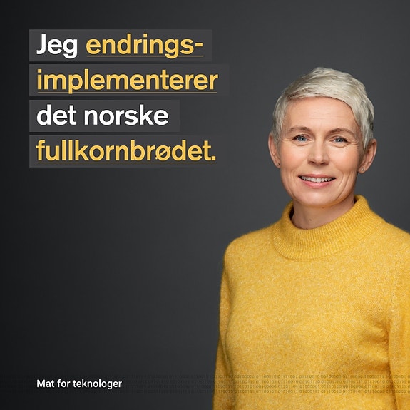 Bilde 2 av 4 i jobbannonse-galleriet