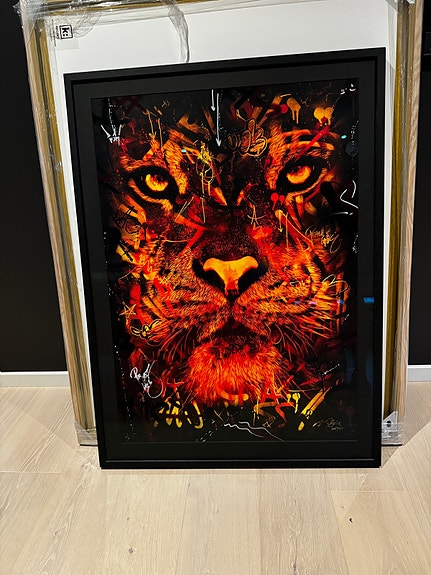 Snik X Martin Whatson - Tiger | FINN-torget