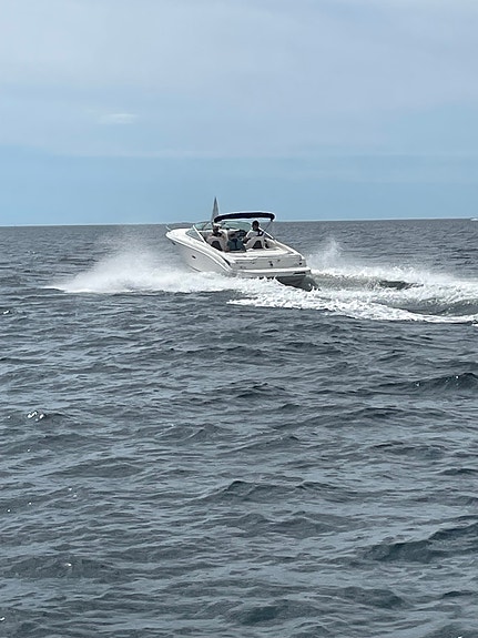 Meget pen og velholdt Sea Ray 240 Sun Sport vurderes solgt 4 of 5