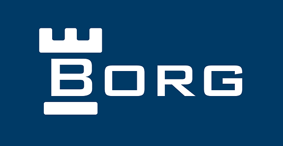 Borg Forvaltning AS logo