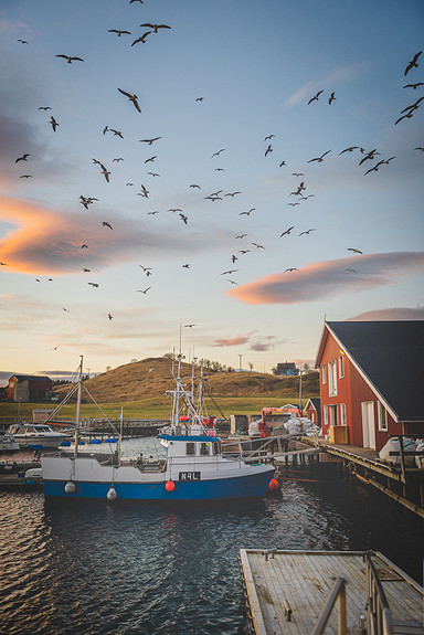 På Kvarøy finner du både  tradisjonsrike bedrifter og yrker og nyere næring. Har du en partner med egen bedrift finner du kontorplass og fibernett her📈